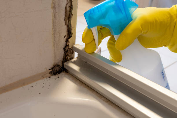 Best Mold Testing  in Galatia, IL