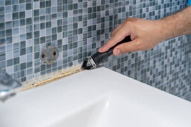 Office Mold Removal Services in Galatia, IL